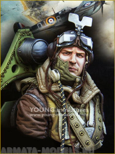 YM1868 RAF Spitfire Mk.l Pilot WWll