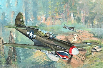02212P P-40N Kittyhawk