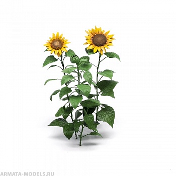 S163MWP Подсолнухи, размер L