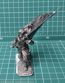 4167ТБ ВИМ, пеший стрелец - знаменосец, 54 мм